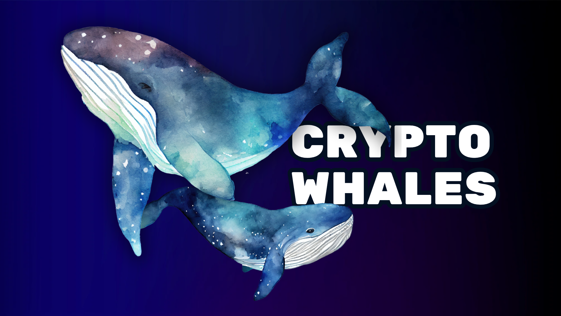 Crypto Whales: The Market Movers To Watch Out For